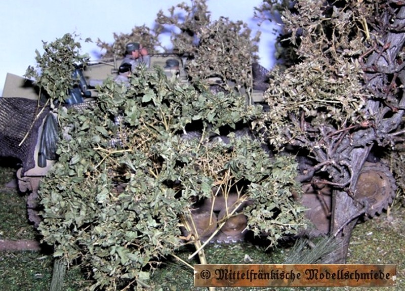diofeuer02.jpg (350326 Byte)