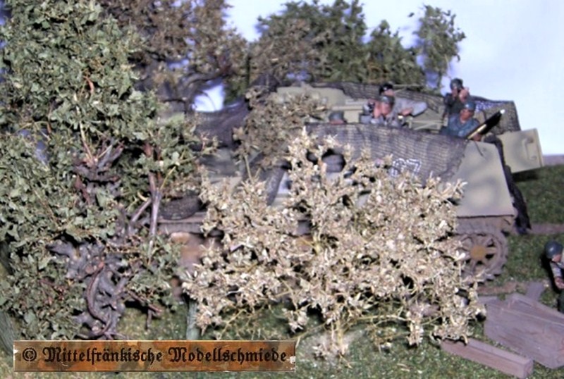 diofeuer04.jpg (279779 Byte)